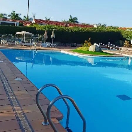 Palomas # 38 *